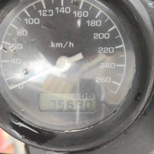 honda hornet 900