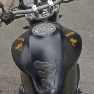 honda hornet 900