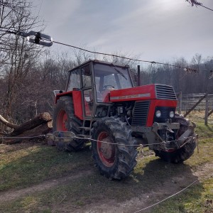 Zetor crystal