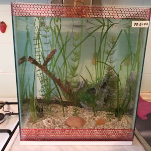 Akvarij kocka, 44 litre