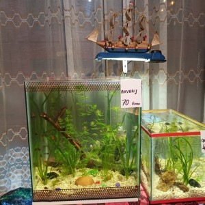 Akvarij kocka, 44 litre