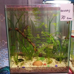Akvarij kocka, 44 litre