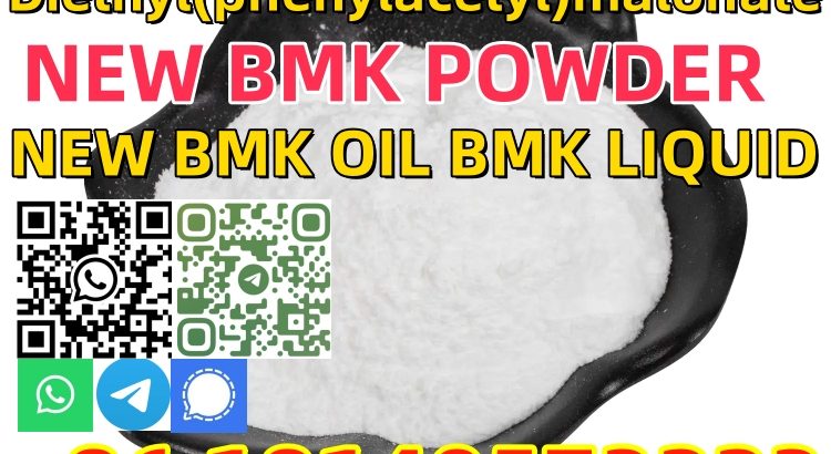 Manufacturer High Quality New Pmk Oil CAS 20320-59-6 with Safe Delivery