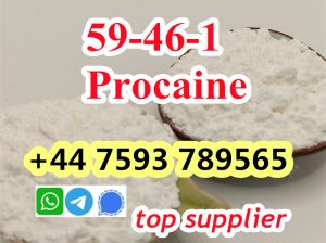 cas 59-46-1 Procaine powder professional supplier