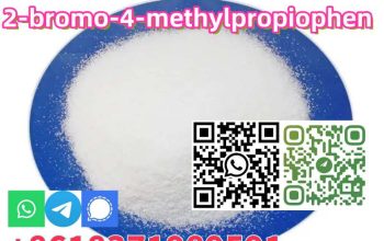 2-bromo-4-methylpropiophen CAS 1451-82-7 on hot sale