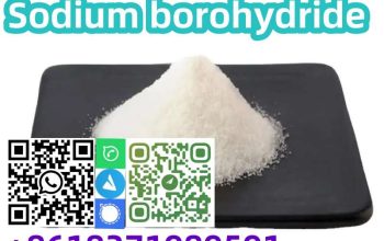 Safe Delivery Sodium borohydride CAS 16940-66-2 with best price in stock