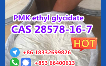 Manufacturer Supply Raw Material CAS 28578-16-7 PMK ethyl glycidate