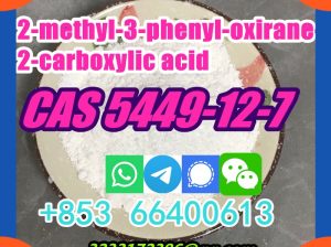 Good Quality Best Price CAS 5449-12-7 2-methyl-3-phenyl-oxirane-2-carboxylic aicd