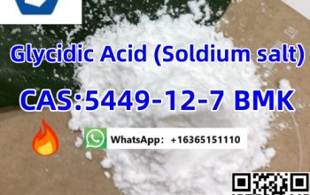 5449-12-7 BMK Glycidic Acid (Soldium salt)