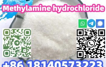 Hot sale CAS 593-51-1 Methylamine hydrochloride with Safe Delivery