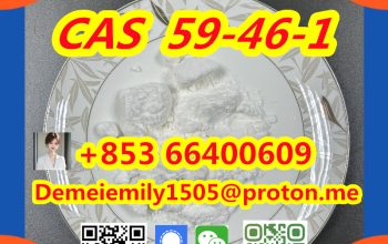 CAS 59-46-1 Procaine China factory supply lower price high purity high quality