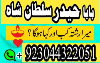 love marriage specialist, best astrologer in UK, best astrologer in USA, kala jadu expert,