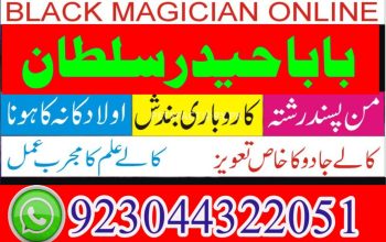 love marriage specialist, best astrologer in UK, best astrologer in USA, kala jadu expert,