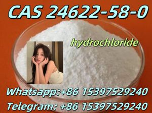 CAS 24622-58-0 hydrochloride