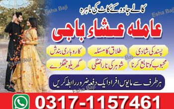 no-1 amil baba in lahore amil baba in panjab amil baba in karachi kala jadu specialist 03171157461 b