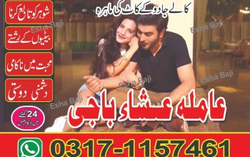 no-1 amil baba in lahore amil baba in panjab amil baba in karachi kala jadu specialist 03171157461 b