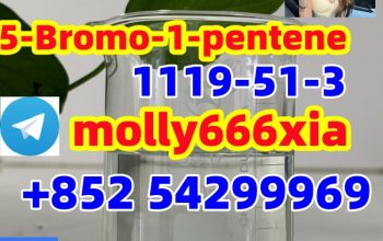 1119-51-3 5-Bromo-1-pentene