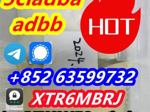 Strongest 5cladba raw material 5CL-ADB-A precursor raw