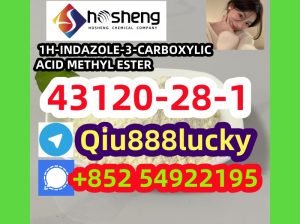 43120-28-1 1H-INDAZOLE-3-CARBOXYLIC ACID METHYL ESTER