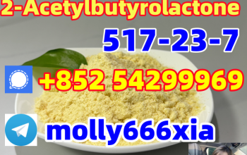 517-23-7 2-Acetylbutyrolactone