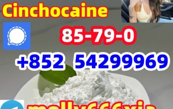 85-79-0 Cinchocaine