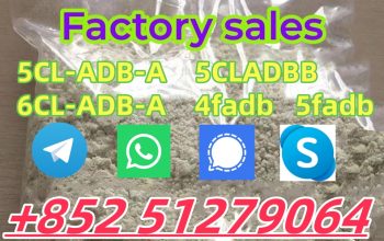 5CL-ADBA powder 5cl adb 5cladba 5cl raw materials in stock