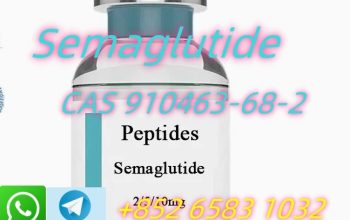 Semaglutide CAS 910463-68-2 2mg 5mh 10mg 15mg 30mg