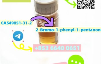 CAS49851-31-2 2-Bromo-1-phenyl-pentan-1-one C11H13BrO chinese factory supply