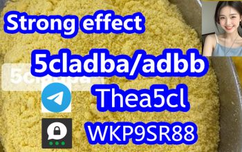 5cladba Supply 5cladb yellow powder 5cladba adbb 5CL-adb-a