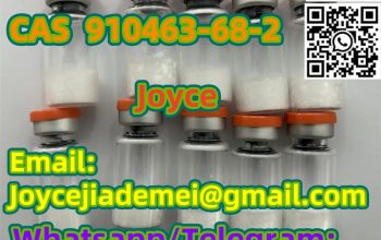 Weight lossing peptide Semaglutide CAS 910463-68-2 2mg 5mg 10mg vials