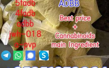 5CL-ADB Best quality JWH-018 SGT-151 4CL 6FADB 4fada 5cladbb 5cladb EDBP 5F AD-BB 5CL