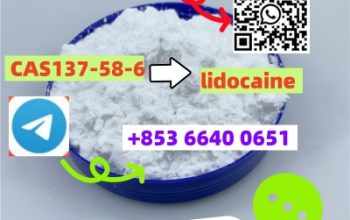 CAS137-58-6 lidocaine C14H22N2O chinese factory supply