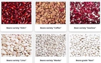 High-quality beans of various varieties