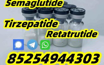 Semaglutide 910463-68-2 Tirzepatide 2023788-19-2 Retatrutide 2381089-83-2 Semaglutide910463-68-2 T