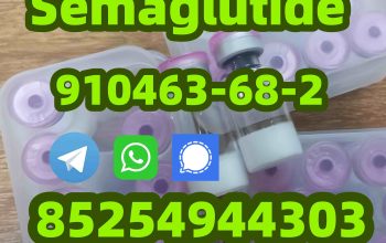 Semaglutide 910463-68-2 Tirzepatide 2023788-19-2 Retatrutide 2381089-83-2 Semaglutide910463-68-2 T