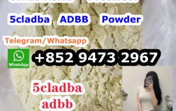 A-PVP 5F-ADB 5cl-adb-a Whatsapp+852 59110122 48 hours 100% safe very strong