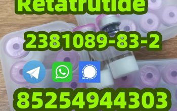 Semaglutide 910463-68-2 Tirzepatide 2023788-19-2 Retatrutide 2381089-83-2 Semaglutide910463-68-2 T