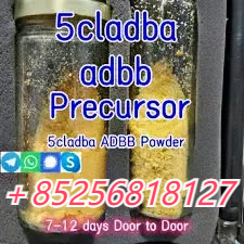 5CLADBA Online Ordering Best Price Yellow Powder 5cl