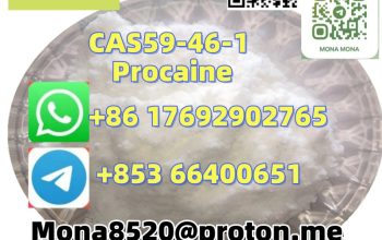 CAS59-46-1 Procaine C13H20N2O2 BEST PRICE