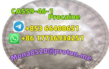 CAS59-46-1 Procaine C13H20N2O2 safe fast delivery