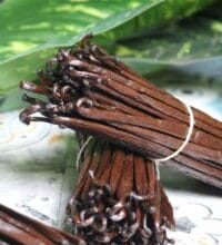 Exports of vanilla beans to Croatia, South Africa, New Zealand, Japan, Israel, Mauritius +2763150121