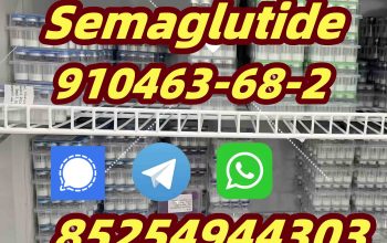 Semaglutide 910463-68-2 Tirzepatide 2023788-19-2 Retatrutide 2381089-83-2 Semaglutide910463-68-2 T