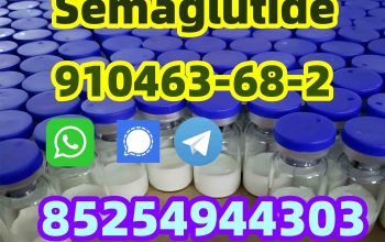 Semaglutide 910463-68-2 Tirzepatide 2023788-19-2 Retatrutide 2381089-83-2 Semaglutide910463-68-2 T