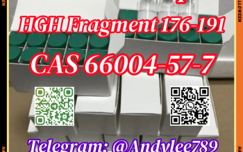 HGH Fragment 176-191 CAS 66004-57-7 AA1