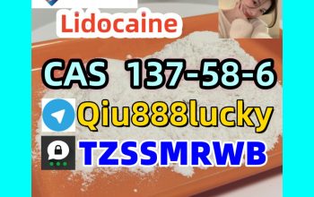 Cas 137-58-6 Lidocaine