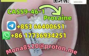 CAS59-46-1 Procaine C13H20N2O2 BEST PRICE