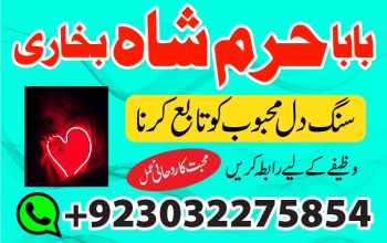 Manpasand shaid ka Taweez, Love Marriage Problem Solution, Istikhara Expert amil Baba in karachi