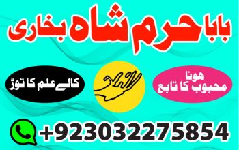 Manpasand shaid ka Taweez, Love Marriage Problem Solution, Istikhara Expert amil Baba in karachi