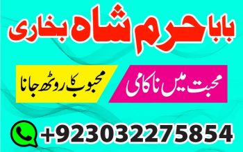 Manpasand shaid ka Taweez, Love Marriage Problem Solution, Istikhara Expert amil Baba in karachi