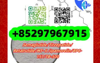 Semaglutide 910463-68-2 Tirzepatide 2023788-19-2 SS-31 736992-21-5 Tesamorel